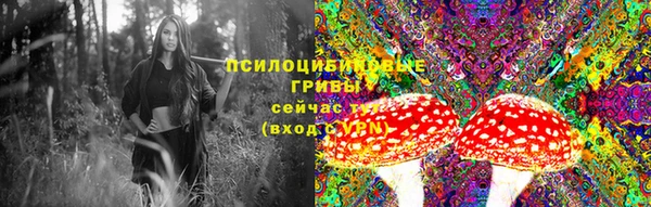 таблы Алексеевка